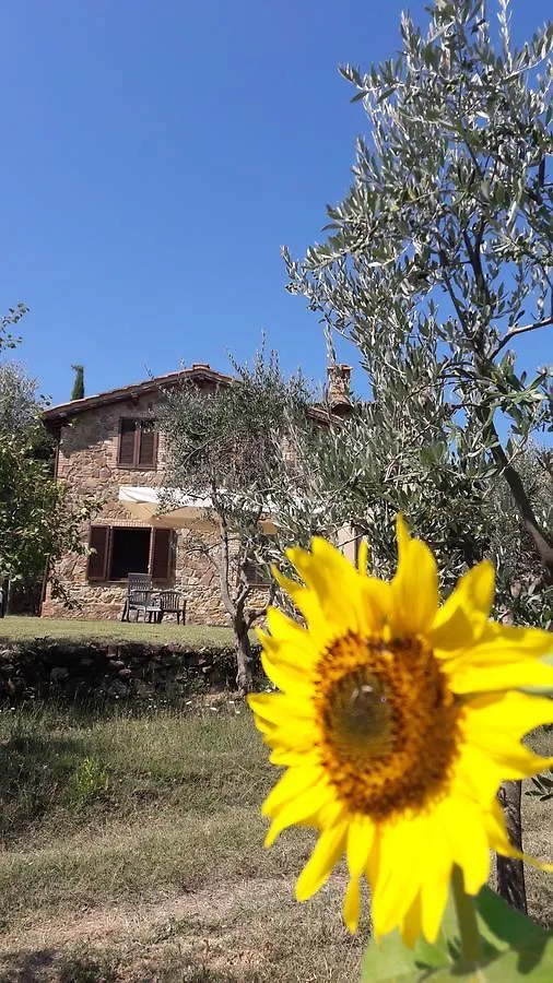 Casa Vacanze Porta Vecchia Montalcino 0*,